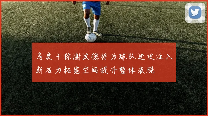 乌度卡称谢泼德将为球队进攻注入新活力拓宽空间提升整体表现