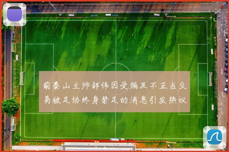 前泰山主帅郝伟因受贿及不正当交易被足协终身禁足的消息引发热议