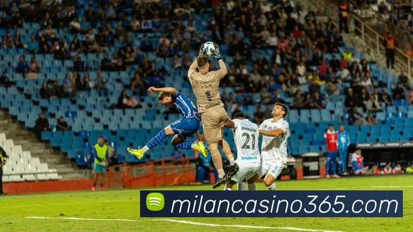 多媒体互动体验